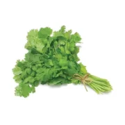 Green Coriander