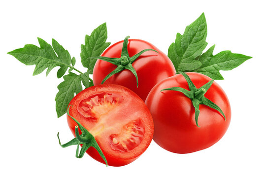 Tomatto