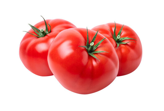 Tomatto - Image 3