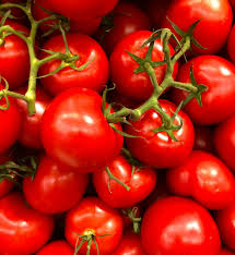 Tomatto - Image 4